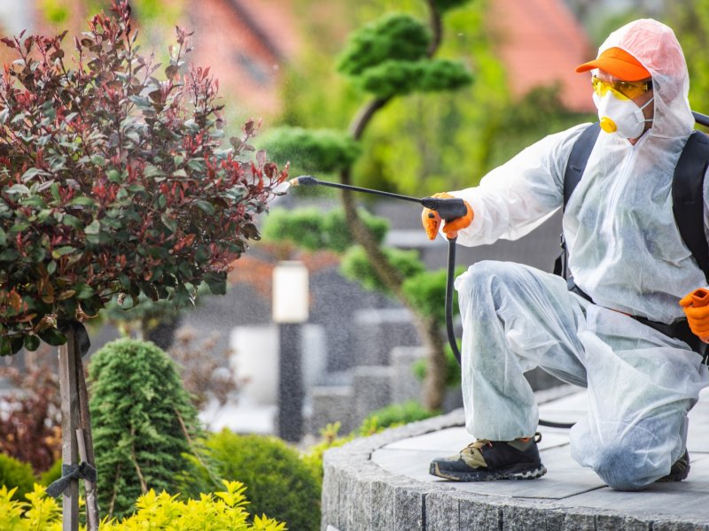 Çat Haşere İlaçlama