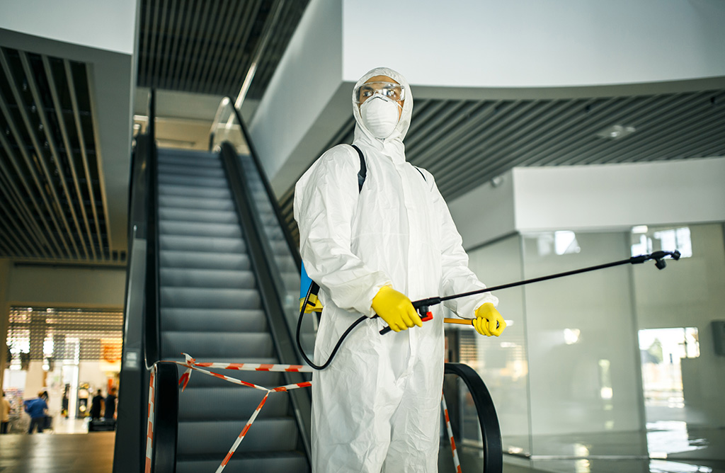 Çat Haşere İlaçlama